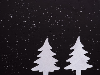 Obraz premium Two white Pine trees isolated on Black background