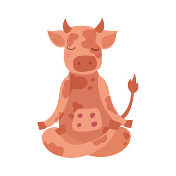 Cartoon cow performing yoga exercise. Drawing animal character sitting in lotus posture and meditating vipassana 