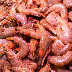 fresh prawns, close-up