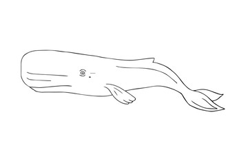 Obraz na płótnie Canvas Vector hand drawn sketch doodle cachalot sperm whale isolated on white background 