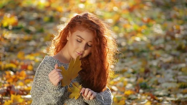 Close-up amazing cute young woman with gorgeous thick curly red hair with maple leaf sits in ray of contour light on blanket of yellow autumn leaves in pictorial city park