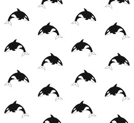 Vector seamless pattern of hand drawn doodle sketch killer whale isolated on white background