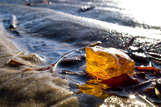 Amber In The Wadden Sea In Cuxhaven, Germany