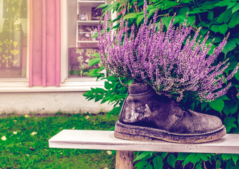 Flowers in the shoe. Pots-boot. Handmade. Street pots. Decoration for the garden.