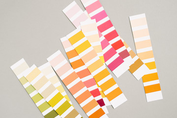 Color palette with various samples. Fashion Colour swatches