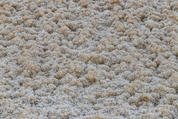 Texture of natural salt crystals.