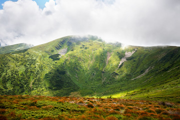 Carpathian mountains landscape in summer