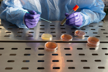 a microbiologist when working on biological samples