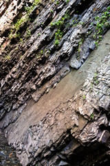 Rocks in the Carpathian forest