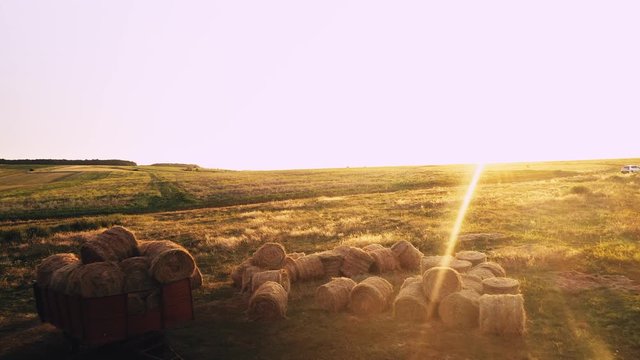 Green summer field with rolled haystacks on the background of sunny sky