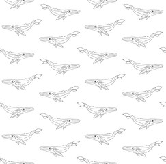 Vector seamless pattern of hand drawn doodle sketch outline blue whale isolated on white background