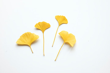 Naklejka premium Yellow decorative beautiful dry leaves on white background. Flat lay, top view minimal neutral floral composition. Ginkgo bloba.