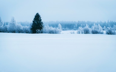 Winter road with snow in Finland. Landscape of Lapland in Europe. Forest along highway during ride....