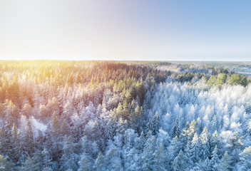 Aerial view of a gold sunset over winter snow covered forest. Drone view of a winter landscape. Christmas nature.