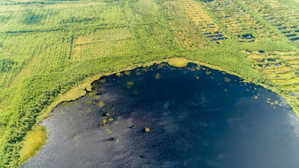 Aerial view on Round forest lake. bog or bogland is wetland that accumulates peat, deposit of dead...