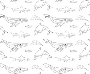 Vector seamless pattern of hand drawn doodle sketch fish whales and sharks isolated on white background