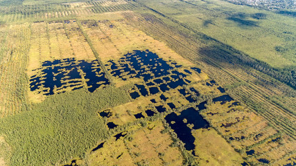 Aerial view on Round forest lake. bog or bogland is wetland that accumulates peat, deposit of dead...