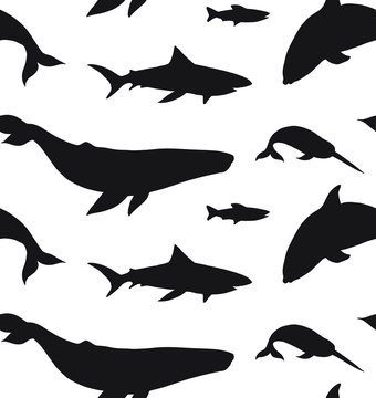 Vector seamless pattern of fish whales and sharks silhouette isolated on white background