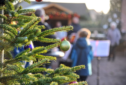 Nahaufnahme einer Tanne mit Weihnachtsschmuck, im Hintergrund junge und alte Musiker mit Notenst&Atilde;&curren;ndern und Weihnachtsmarkt &acirc;&euro;&ldquo; selektiver Fokus