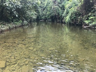 rios naturales