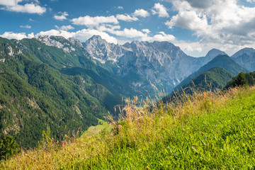 Fototapeta premium Widok na dolinę Logarską do Kamnika - Alp Savinja w Słowenii
