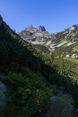Fototapeta na wymiar Malyovitsa peak at Rila Mountain, Bulgaria