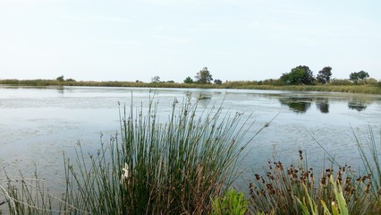 landscape with river