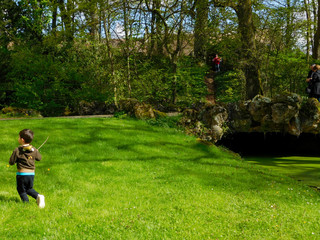 childs are playing in a green park with a forest