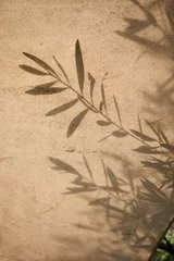 Schilderijen op glas olive tree leaves shadows on the brown background © fox17