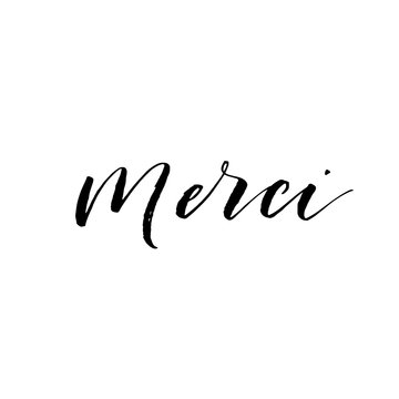Merci hand drawn postcard. Modern vector brush calligraphy. Ink illustration with hand-drawn lettering. 