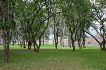 Fototapeta na wymiar Área verde adyacente a zona arqueológica de Tzintzunzan