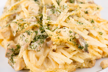 Closeup of turkey tetrazzini on white plate