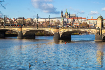 View of Hradcany and Saint Vitus Cathedral in Lesser Town of Prague from the Vltava river near Legii Bridge in Prague, Czechia