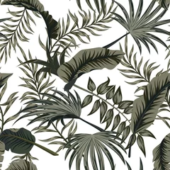 Crédence de cuisine en verre imprimé Feuilles tropicales Feuilles de palmiers tropicaux, jungle laisse fond de motif floral vectorielle continue.