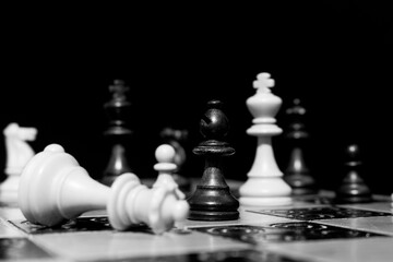 Scacchi fotografati su una scacchiera