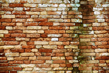 Damaged wall texture. Weathered bricks and green leak trace
