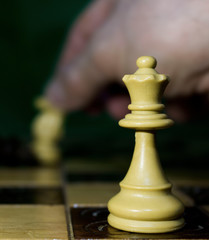Scacchi fotografati su una scacchiera