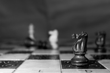 Scacchi fotografati su una scacchiera