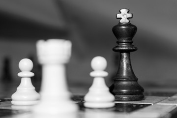 Scacchi fotografati su una scacchiera