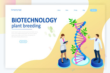 Isometric concept of laboratory exploring new methods of plant breeding and agricultural genetics. Plants growing in the test tubes.