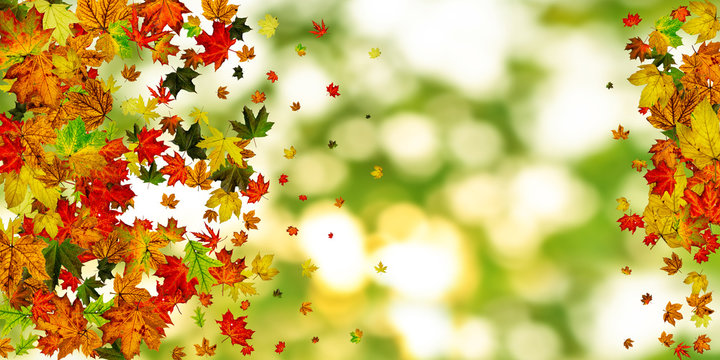 Autumn leaves on ground. November falling pattern background. Th