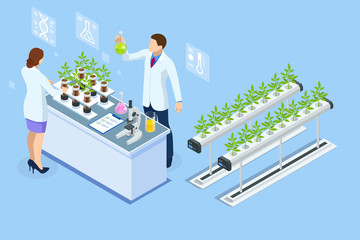 Isometric concept of laboratory exploring new methods of plant breeding and agricultural genetics. Plants growing in the test tubes. - obrazy, fototapety, plakaty