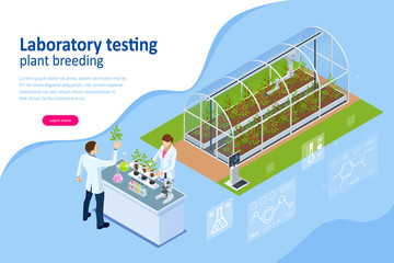 Isometric concept of laboratory exploring new methods of plant breeding and agricultural genetics. Plants growing in the test tubes.