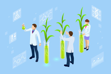 Isometric concept of laboratory exploring new methods of plant breeding and agricultural genetics. Plants growing in the test tubes.