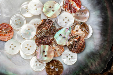 Directly above shot of buttons made with shells on table in workshop