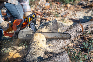 A lumberjack is sawing a tree with a chainsaw