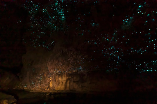 Low angle view of illuminated Arachnocampa luminosa in Waipu cave at New Zealand