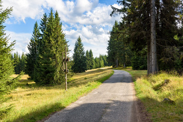 Obraz premium Forest road to Orle shelter in Jizera Mountains