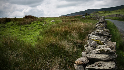 Dry stone wall and moorland, Lake District, Cumbria, England