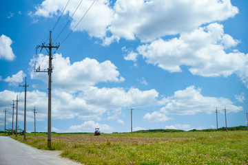 波照間島の風景